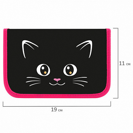 Пенал ПИФАГОР, 1 отделение, ламинированный картон, 19х11 см, "Dark kitten", 273467