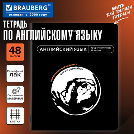 Тетрадь предметная МЕМЫ 48 л., TWIN-лак, АНГЛИЙСКИЙ ЯЗЫК, клетка, подсказки, BRAUBERG, 405098