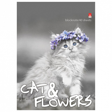 Блокнот А6, 40 л., гребень, ламинированный картон, клетка, Альт, "Котята", (5 видов), 3-40-028