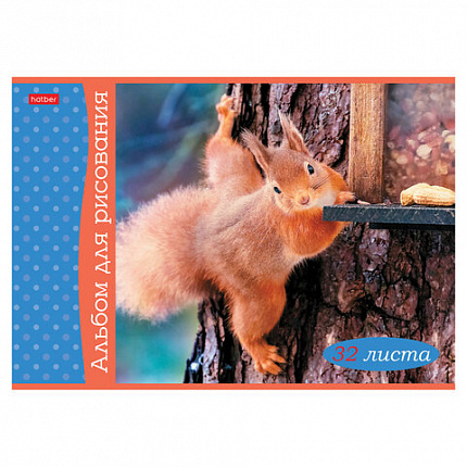 Альбом для рисования А4, 32 л., скоба, обложка картон, HATBER, 205х290 мм, "Белочка пришла" (5 видов), 091519, 32А4В