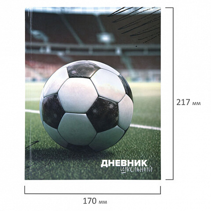 Дневник 1-4 класс 48 л., твердый, ЮНЛАНДИЯ, глянцевая ламинация, с подсказом, "Футбол", 107583