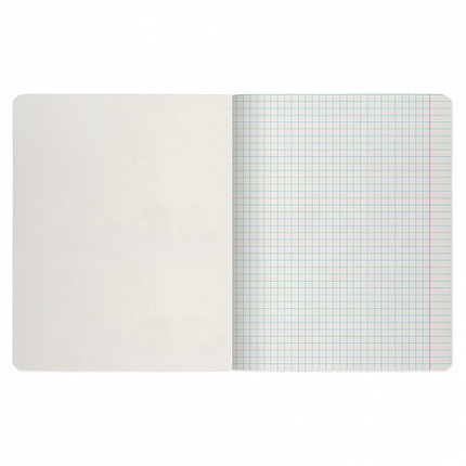 Тетрадь А5 48 л. АЛЬТ скоба, клетка, глянцевый лак, "Природа" (5 видов), 7-48-028