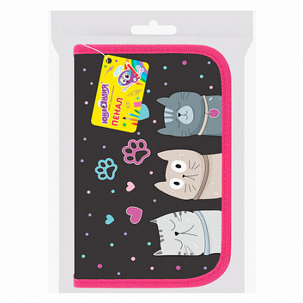 Пенал ЮНЛАНДИЯ, 1 отделение, картон с эффектом soft-touch, 19х11 см, "Cat squad", 273493