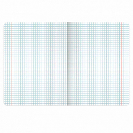 Тетради предметные, КОМПЛЕКТ 13 ПРЕДМЕТОВ, 48 л., обложка картон, BRAUBERG "КЛАССИКА ПРИРОДА", 405165