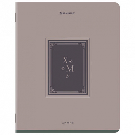 Тетради предметные, КОМПЛЕКТ 12 ПРЕДМЕТОВ, 48л, рельефный картон, BRAUBERG, ВИНТАЖ, 405603
