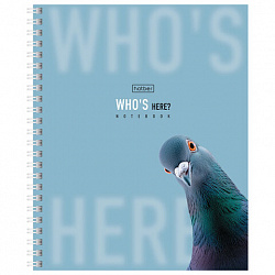 Тетрадь А5 48 л. HATBER гребень, клетка, Soft-touch ламинация, "Кто здесь?" (микс в спайке), 48Т5лВ1гр