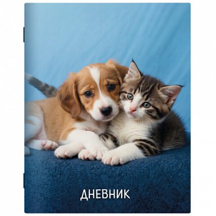 Дневник 1-11 класс 40л, на скобе, ПИФАГОР, обложка картон, МИКС Универсальный, 107578