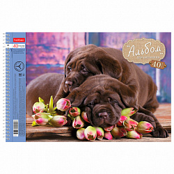 Альбом для рисования, А4, 40 листов, спираль, обложка картон, HATBER, 205х300 мм, "Любимцы" (5 видов), 004142, 40А4Всп