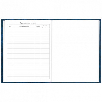 Дневник 5-11 класс 48 л., твердый, BRAUBERG, глянцевая ламинация, с подсказом, "Мотивация", 106630