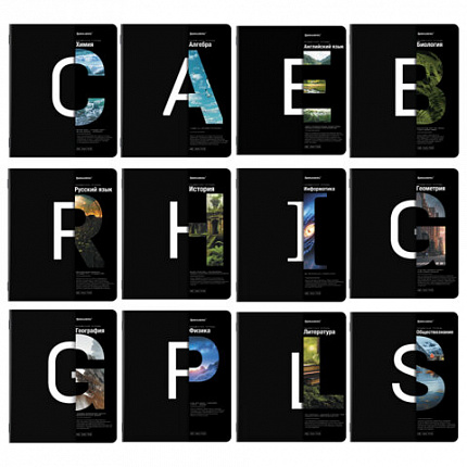 Тетради предметные, КОМПЛЕКТ 12 ПРЕДМЕТОВ, INTELLIGENCE, 48л, матовая ламинация, BRAUBERG, 404845