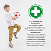 Ранец BRAUBERG FIT, 2 отделения, "Разноцветный лев", 38х27х14 см, 270618