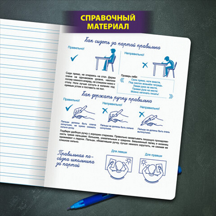 Тетрадь ПРОПИСЬ № 5 12 л. узкая линия, со справочным материалом, обложка картон, ЮНЛАНДИЯ, 404850