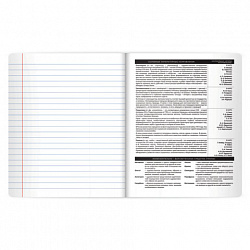 Тетрадь предметная BLACK MODE 48 л., пластиковая обложка, ЛИТЕРАТУРА, линия, подсказ, BRAUBERG, 405522