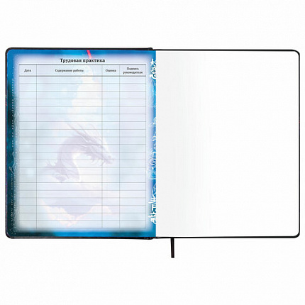 Дневник 1-11 класс 48 л., кожзам (твердая с поролоном), печать, цветной блок, BRAUBERG, "Ниндзя", 106950