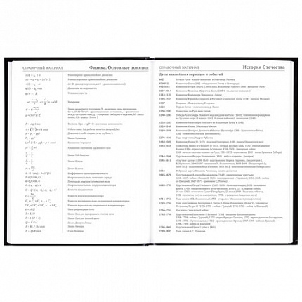 Дневник 5-11 класс 48 л., гибкая обложка, BRAUBERG, глянцевая ламинация, с подсказом, "Гепард", 106862