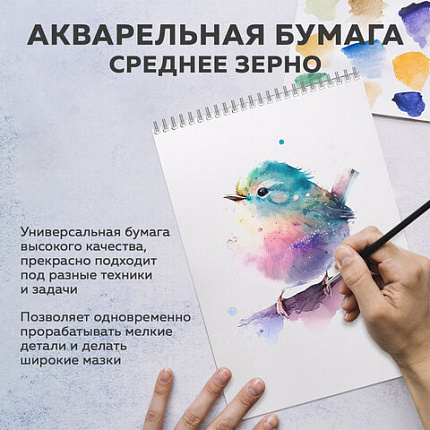 Бумага для акварели А4 в папке, 20 листов, 200 г/м2, среднее зерно, BRAUBERG ART CLASSIC, 116351
