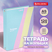 Тетрадь на кольцах А5 175х215 мм, 120 л., твердый картон, клетка, BRAUBERG, кросс-серия PASTEL, 405198