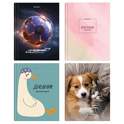 Дневник 5-11 класс 48 л., твердый, BRAUBERG, глянцевая ламинация, с подсказом, "МИКС", 107612