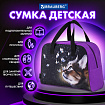 Сумка для занятий BRAUBERG с ручками, 35x25x15 см, "Мечта", 271592