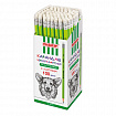 Карандаш чернографитный ПИФАГОР, 1 шт., НВ, пластиковый, корпус салатовый, с ластиком, 181445