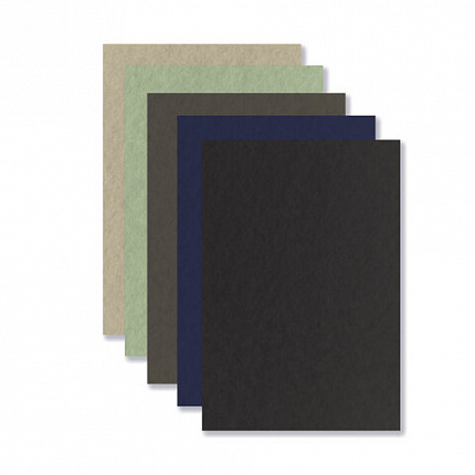 Бумага для пастели ФАКТУРНАЯ А3 в папке, 20 листов 5 цветов, 270 г/м2, BRAUBERG ART,, 117756