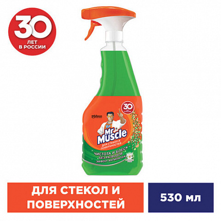 Средство для мытья стекол и зеркал 530 мл, МИСТЕР МУСКУЛ "Утренняя роса", распылитель