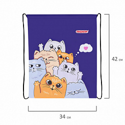 Мешок для обуви ПИФАГОР, 1 отделение, 42х34 см, "Кошачий привет", 272382