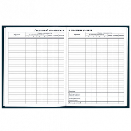 Дневник 1-11 класс 40 л., твердый, BRAUBERG, матовая ламинация, "Dragon", 107178