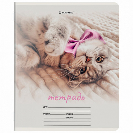 Тетрадь 12 л. BRAUBERG клетка, обложка картон, МИКС-2, 107269