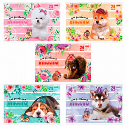 Альбом для рисования, А4, 24 листа, скоба, обложка картон, HATBER, 205х290 мм, "Любимцы", 004051, 24А4В