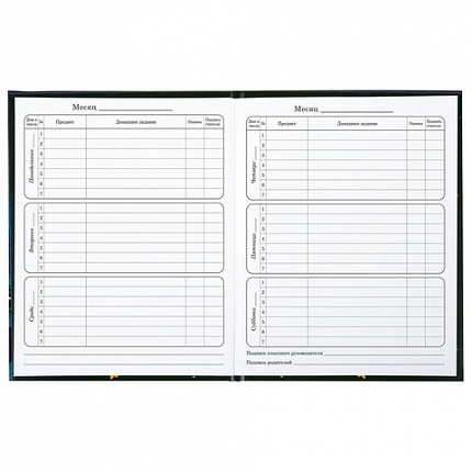 Дневник 1-4 класс 48 л., твердый, BRAUBERG, глянцевая ламинация, с подсказом, "CATS & DUCK", 106831