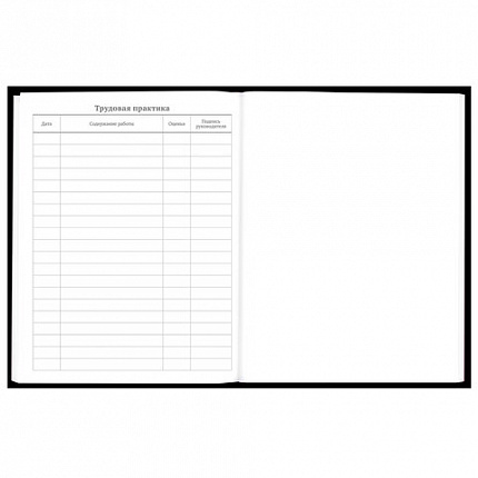 Дневник 5-11 класс 48 л., твердый, BRAUBERG, матовая ламинация, с подсказом, "Штош", 107190