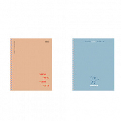 Тетрадь А5, 80 л., HATBER, гребень, линия, матовая ламинация, "Чипи-чипи" (микс в спайке), 088819, 80Т5лВ2гр