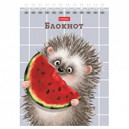 Блокнот МАЛЫЙ ФОРМАТ А6, 40 л., гребень, картон, клетка, HATBER, "Хорошо быть ёжиком", 080472, 40Б6В1гр