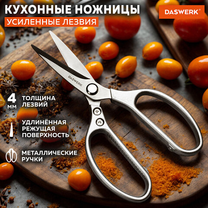 Ножницы кухонные DASWERK (ДАСВЕРК), 210 мм, удлиненное лезвие, металлические ручки, 608900