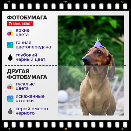Фотобумага матовая, А4, 230 г/м2, односторонняя, 100 листов, ПАКЕТ, BRAUBERG ORIGINAL, 364432