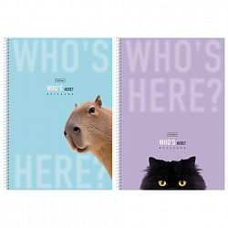 Тетрадь А4 96 л., HATBER, спираль, линия, матовая ламинация, "Кто здесь?" (микс в спайке), 093596, 96Т4лВ2сп