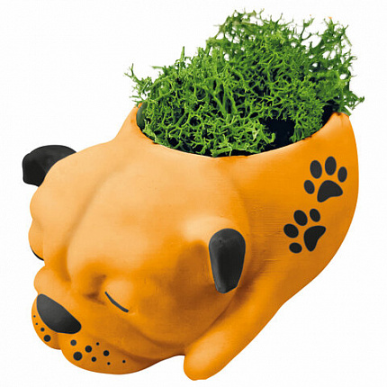 КАШПО ИЗ ГИПСА СО МХОМ, с красками и кистью для росписи, ассорти, BRAUBERG KIDS, 666012