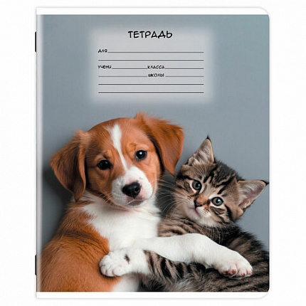 Тетрадь 12 л. ЮНЛАНДИЯ, клетка, обложка картон, МИКС-2, 107273