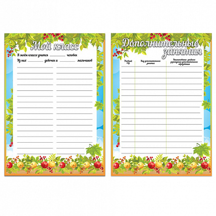 Листы-вкладыши для портфолио школьника, 14 разделов, 16 листов, "Окружающий мир", BRAUBERG, 126896