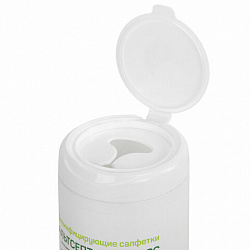 Дезинфицирующие салфетки влажные 80 шт., АЛЬТСЕПТ ЭКСПРЕСС, для обработки рук и поверхностей