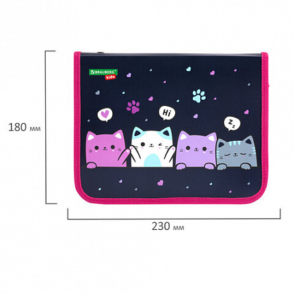 Папка для тетрадей BRAUBERG KIDS А5, 1 отделение, пластик, молния вокруг, "Anti-gravity", 273323