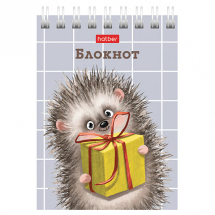 Блокнот МАЛЫЙ ФОРМАТ А7, 40 л., гребень, картон, клетка, HATBER, "Хорошо быть ёжиком", 081183, 40Б7В1гр