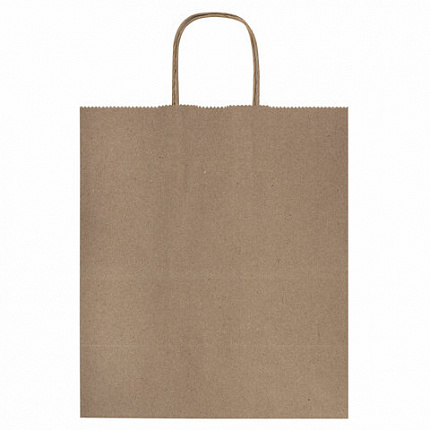 Крафт-пакет бумажный 22х12х25 см, КОМПЛЕКТ 50 шт., крученые ручки, плотность 90 г/м2, LAIMA ECO CRAFT, 609684