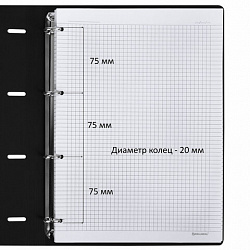 Тетрадь на кольцах БОЛЬШАЯ А4 (240х310 мм), 120 л., под кожу, BRAUBERG VISTA, "Пастельная", 404514