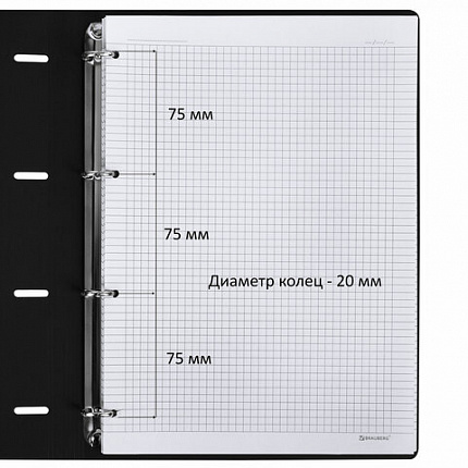 Тетрадь на кольцах БОЛЬШАЯ А4 (240х310 мм), 120 л., под кожу, BRAUBERG VISTA, "Пастельная", 404514