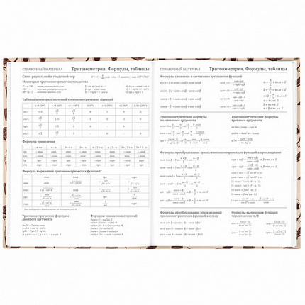 Дневник 5-11 класс 48 л., твердый, BRAUBERG, выборочный лак, с подсказом, "Магия", 106885
