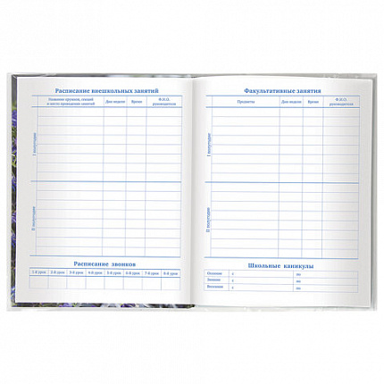 Обложки ПЭ для тетрадей и дневников, КОМПЛЕКТ 10 шт., 60 мкм, 210х350 мм, прозрачные, ПИФАГОР, 229368