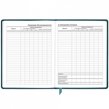 Дневник 1-11 класс 48 л., кожзам (твердая), печать, резинка, конверт, BRAUBERG, "Bright Lion", 106577