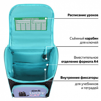 Ранец ПИФАГОР BASIC, 1 отделение, 3 кармана, эргономичная спинка, "Счастливые коты", 35х28х18 см, 273135